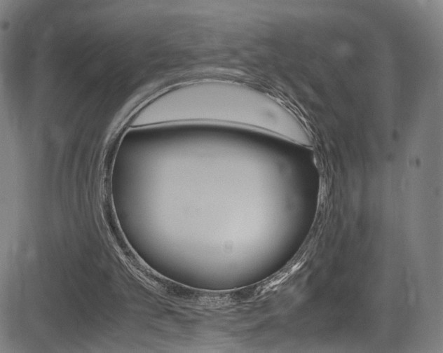 X0000085250101200703090958