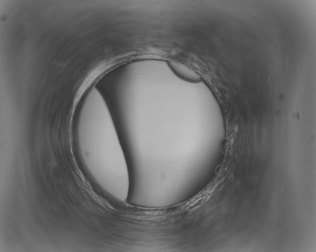 X0000085250102200703090958