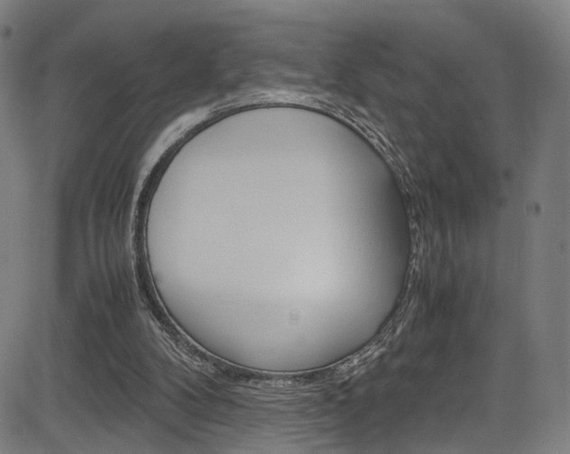 X0000085250104200703090958