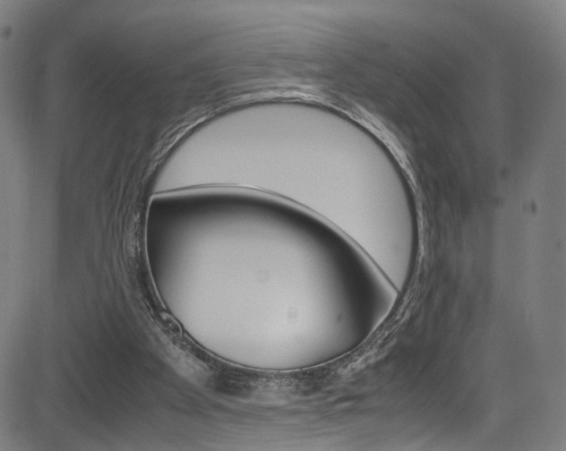 X0000085250105200703090958