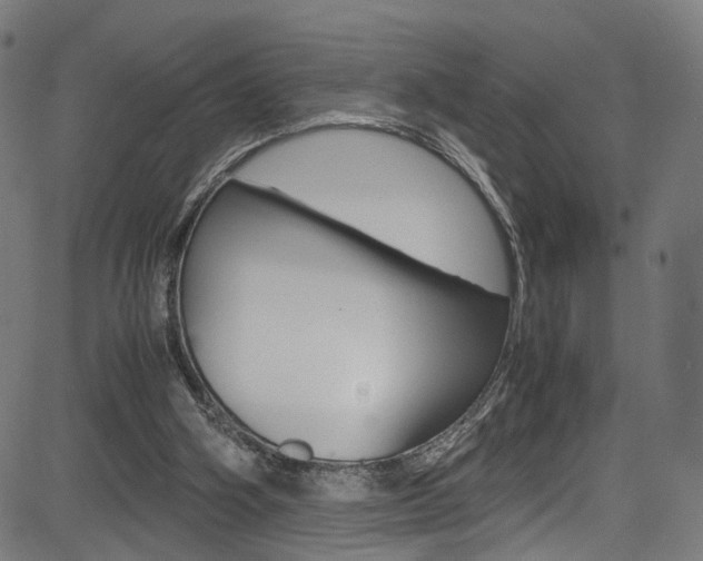 X0000085250106200703090958