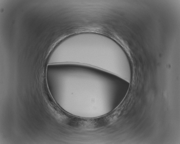 X0000085250107200703090958