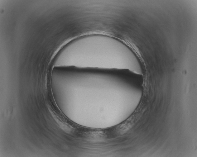 X0000085250108200703090958