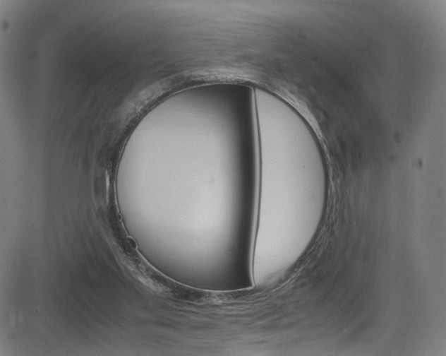 X0000085250109200703090957