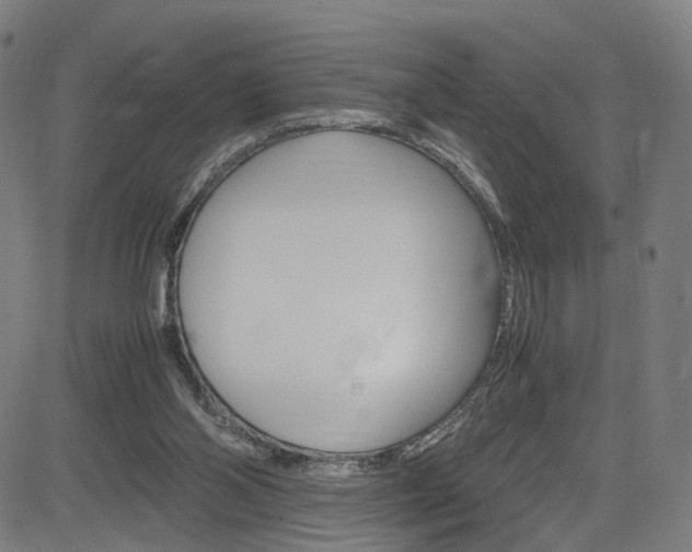 X0000085250110200703090957