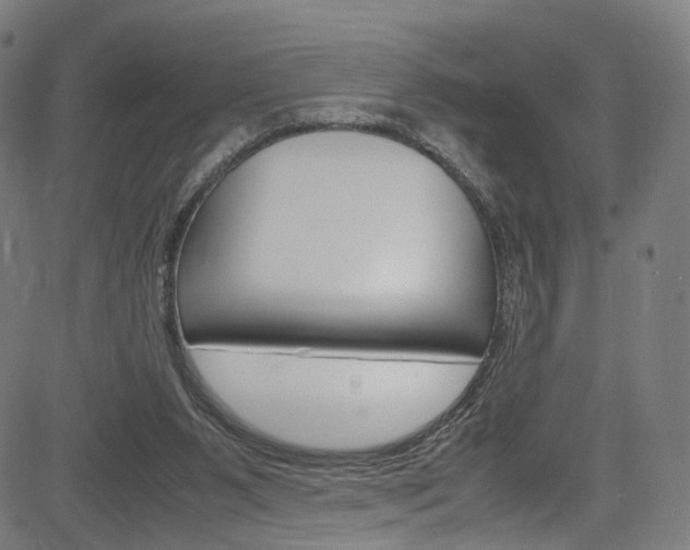 X0000085250111200703090957