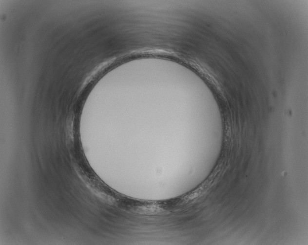 X0000085250112200703090957