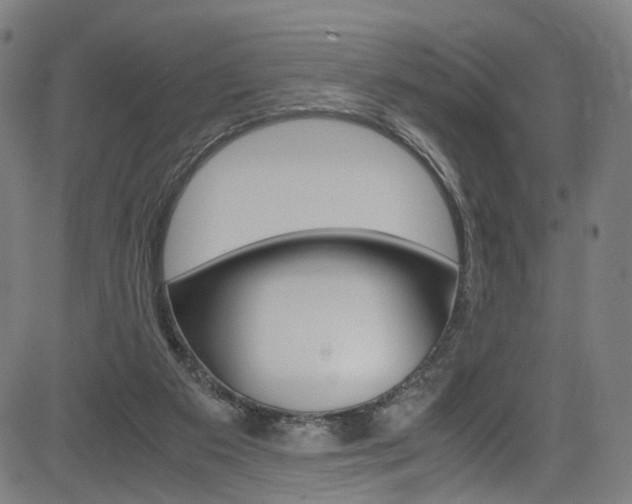 X0000085250113200703090957