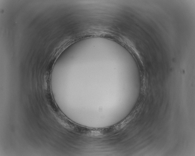 X0000085250114200703090957