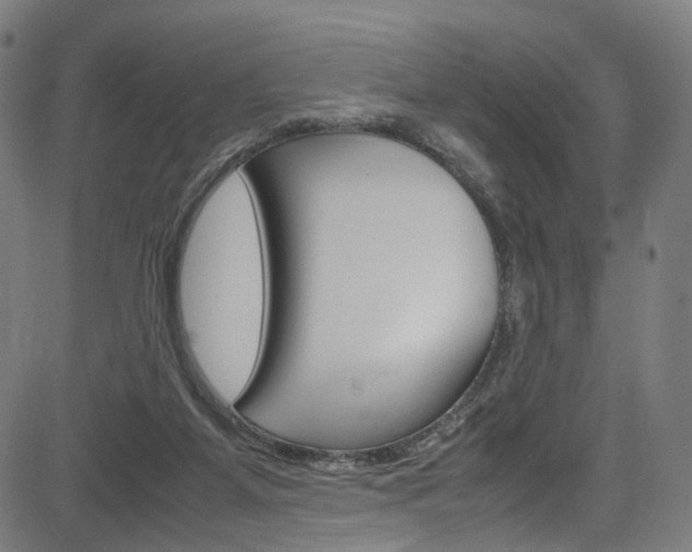 X0000085250115200703090957