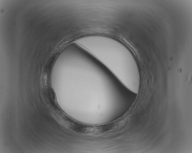 X0000085250117200703090957