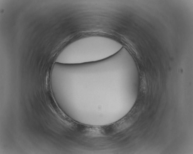 X0000085250118200703090957