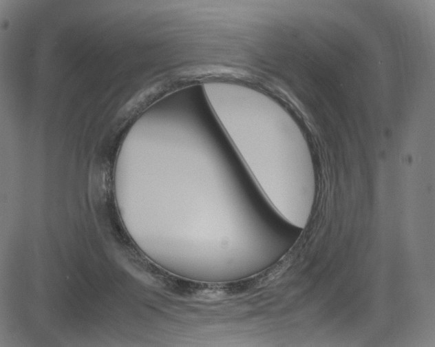 X0000085250119200703090957