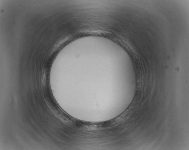 X0000085250120200703090957