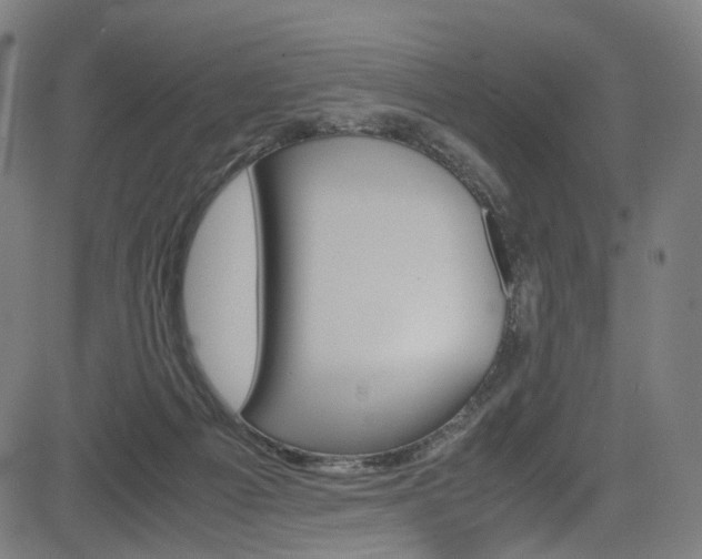 X0000085250121200703090957