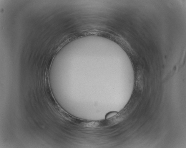 X0000085250122200703090957