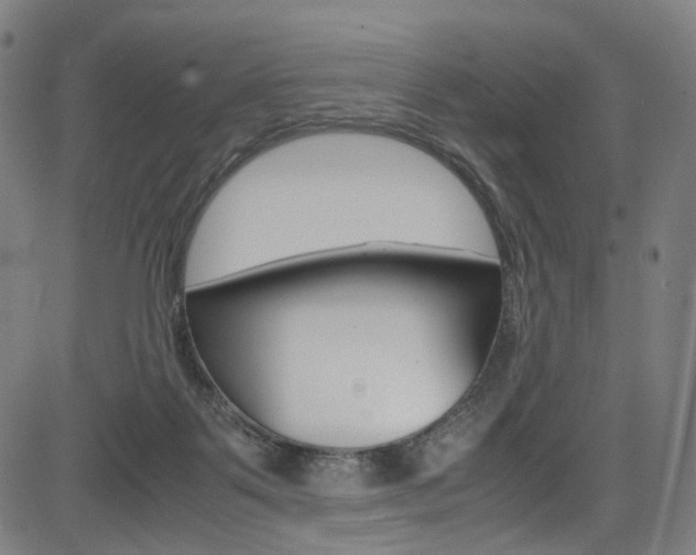 X0000085250123200703090957