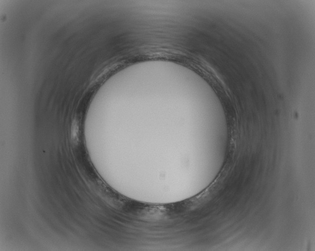 X0000085250124200703090957