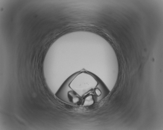 X0000085250125200703090957