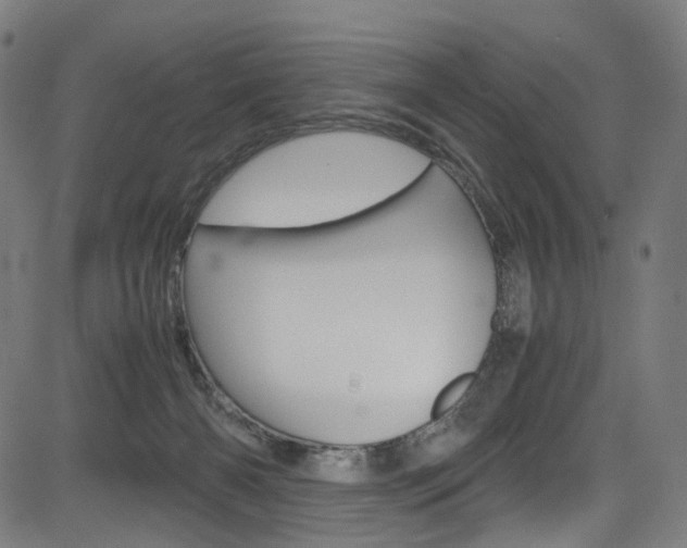 X0000085250126200703090957