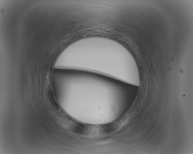 X0000085250127200703090957