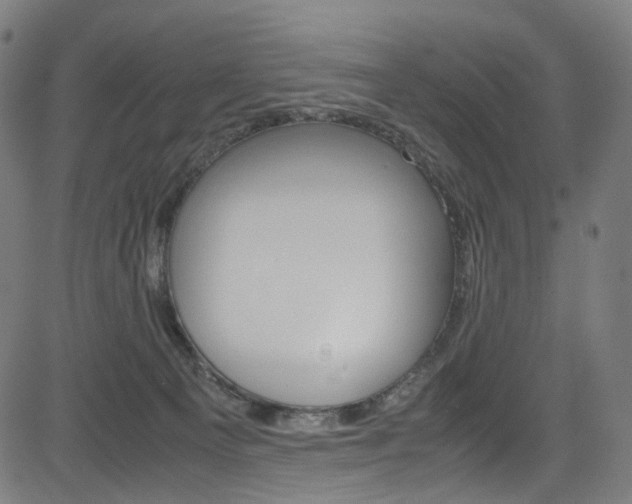 X0000085250129200703090957