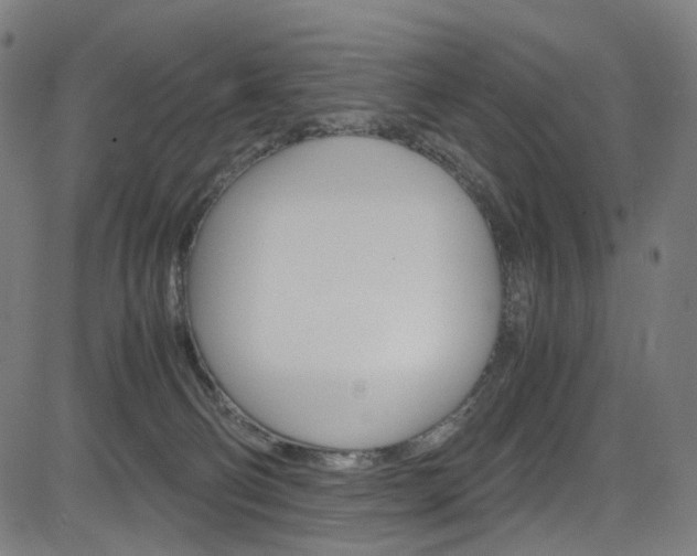 X0000085250130200703090957