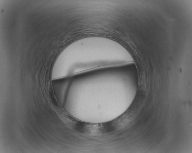 X0000085250131200703090957