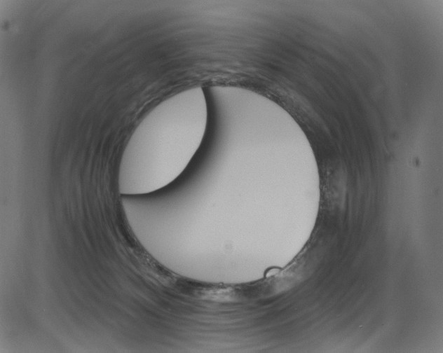 X0000085250132200703090957