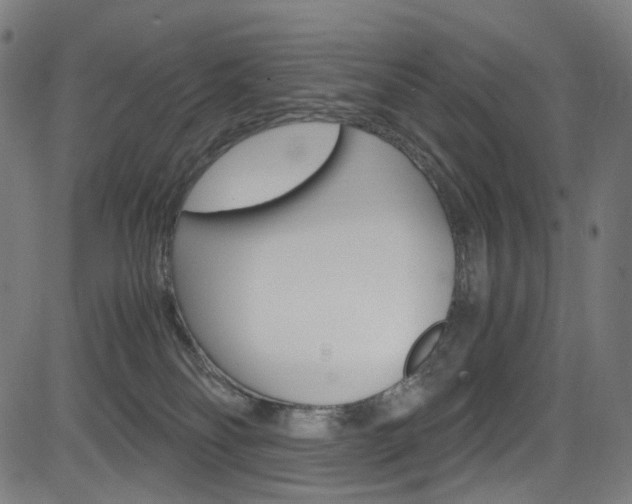 X0000085250134200703090957