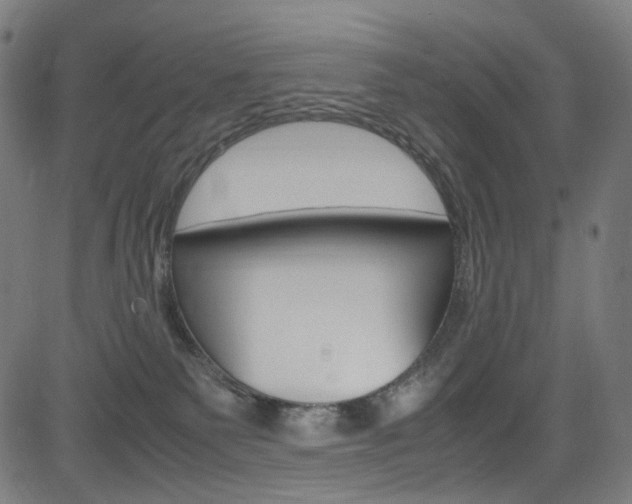 X0000085250135200703090957