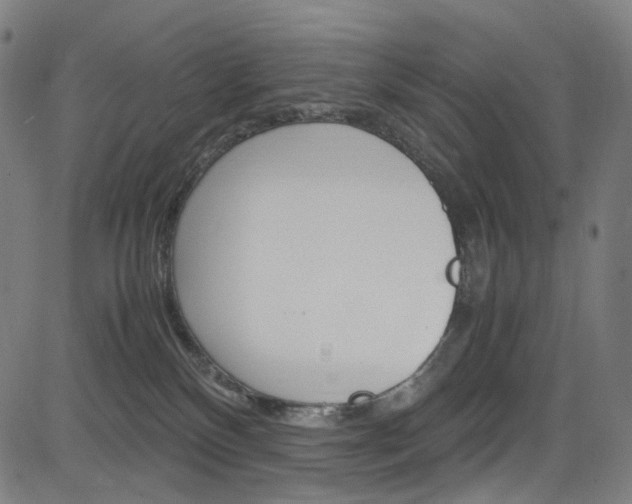 X0000085250136200703090957