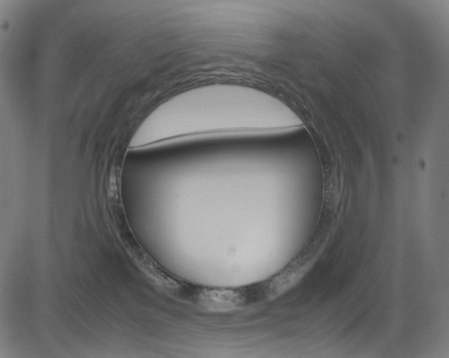 X0000085250137200703090957