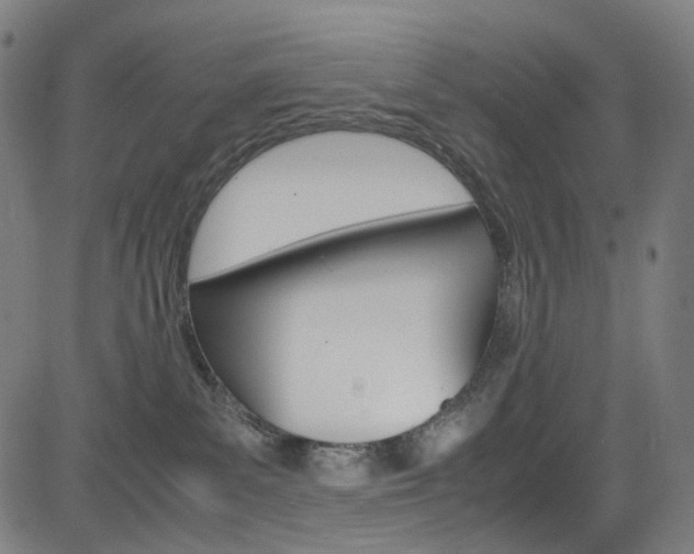 X0000085250139200703090957