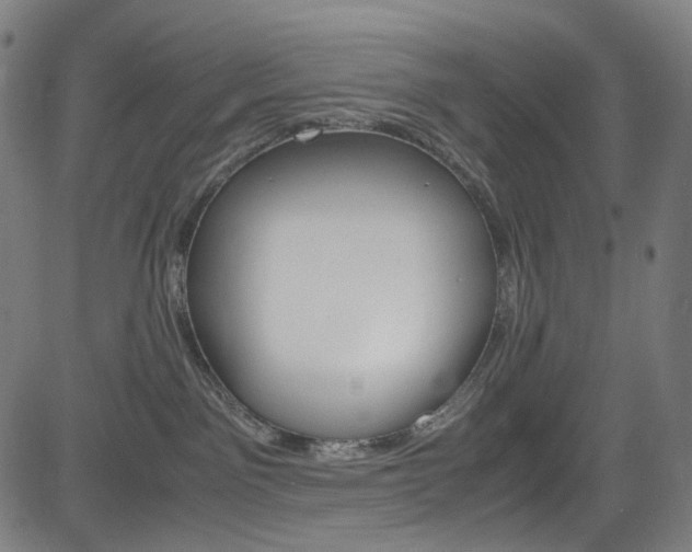 X0000085250141200703090957