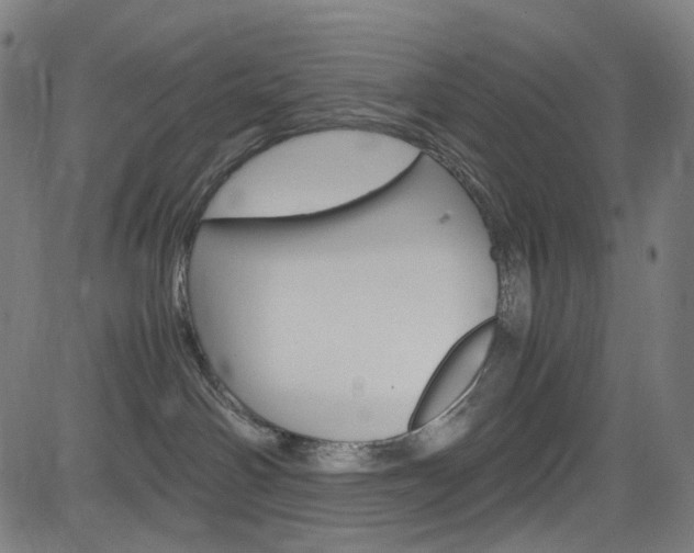 X0000085250142200703090957