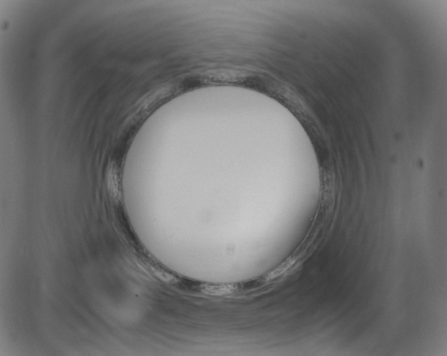 X0000085250143200703090957