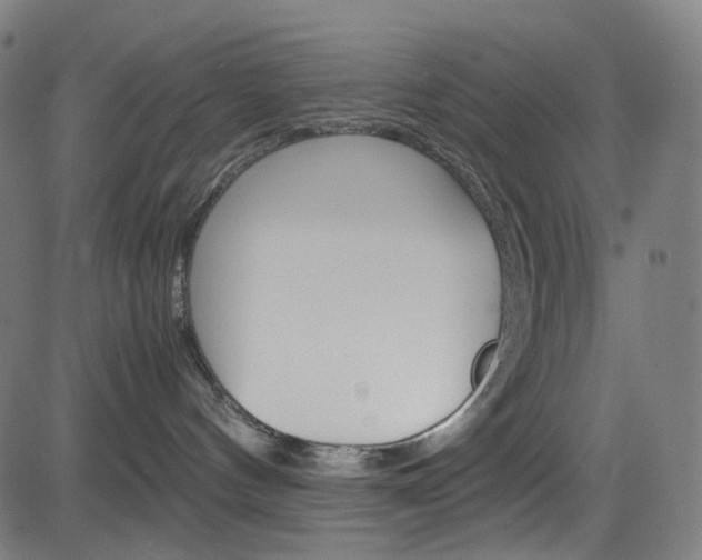 X0000085250144200703090957