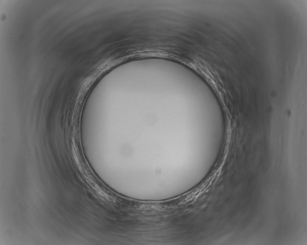 X0000085250145200703090956