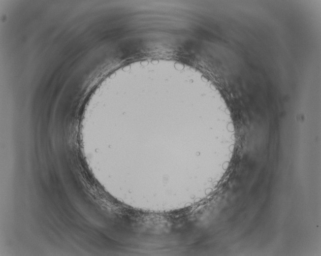 X0000085250146200703090956