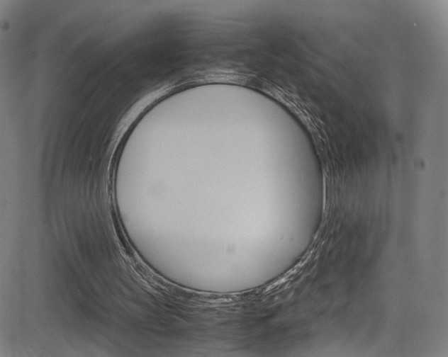 X0000085250147200703090956