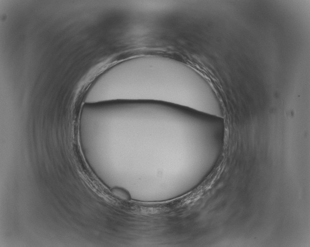 X0000085250149200703090956