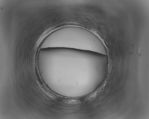 X0000085250151200703090956