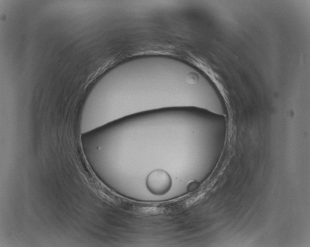 X0000085250153200703090956