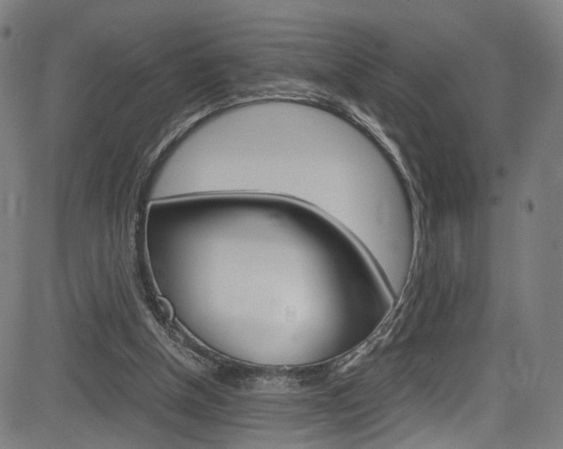 X0000085250154200703090956