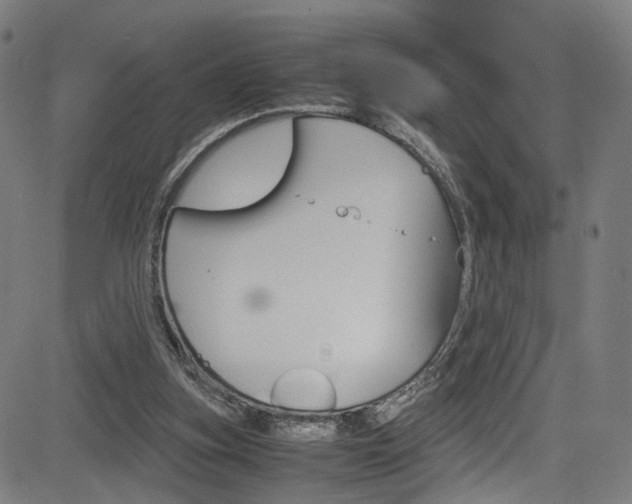 X0000085250155200703090956