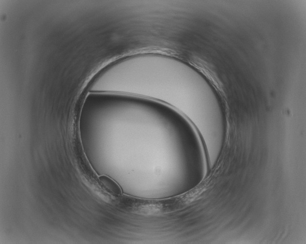 X0000085250156200703090956