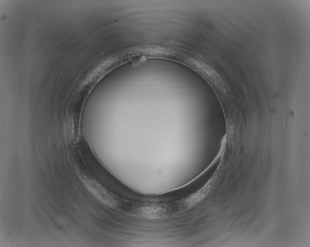 X0000085250158200703090956