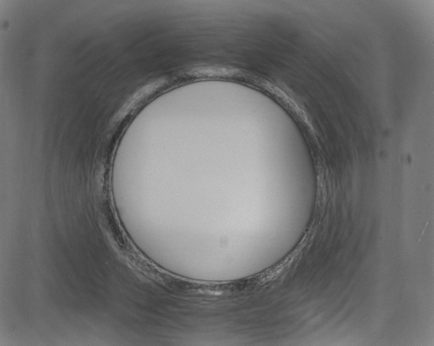 X0000085250159200703090956