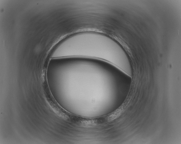 X0000085250160200703090956